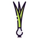 vegan,healthy food,food and restaurant,organic,diet,vegetarian,onion,spring onion,scallion
